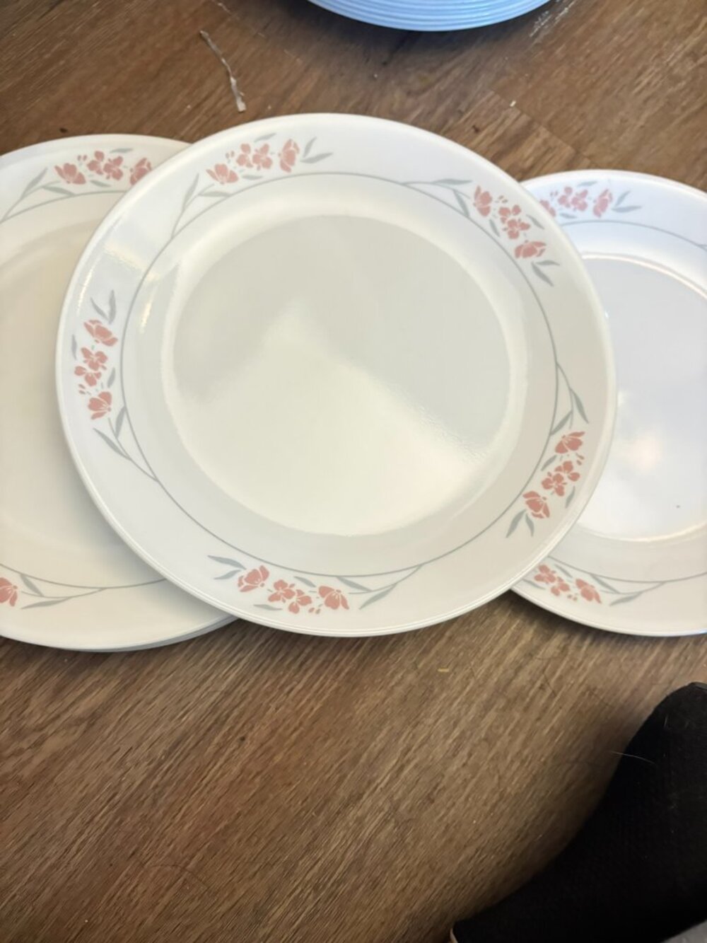 Lot 8 Corelle Silk Blossoms Dinner Plates